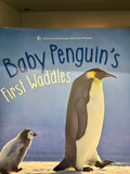 Baby penguin’s