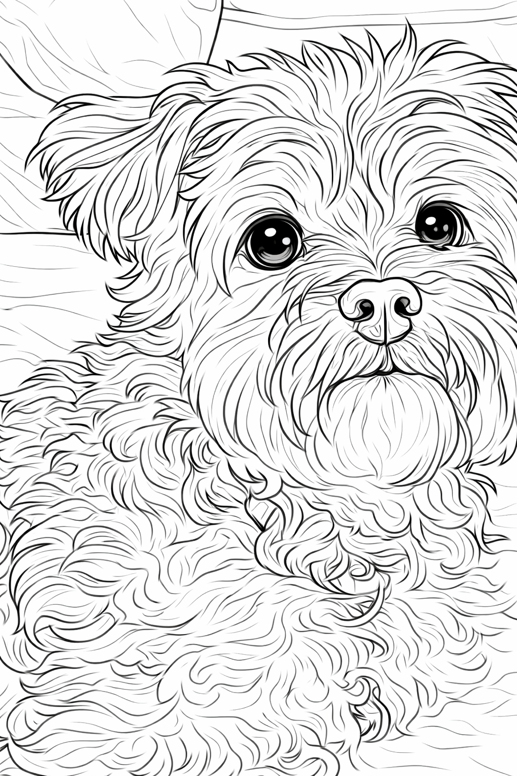 Jack and friends great activity book