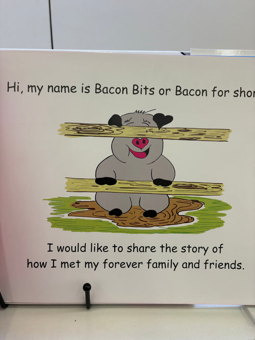Bacon loves Everyone