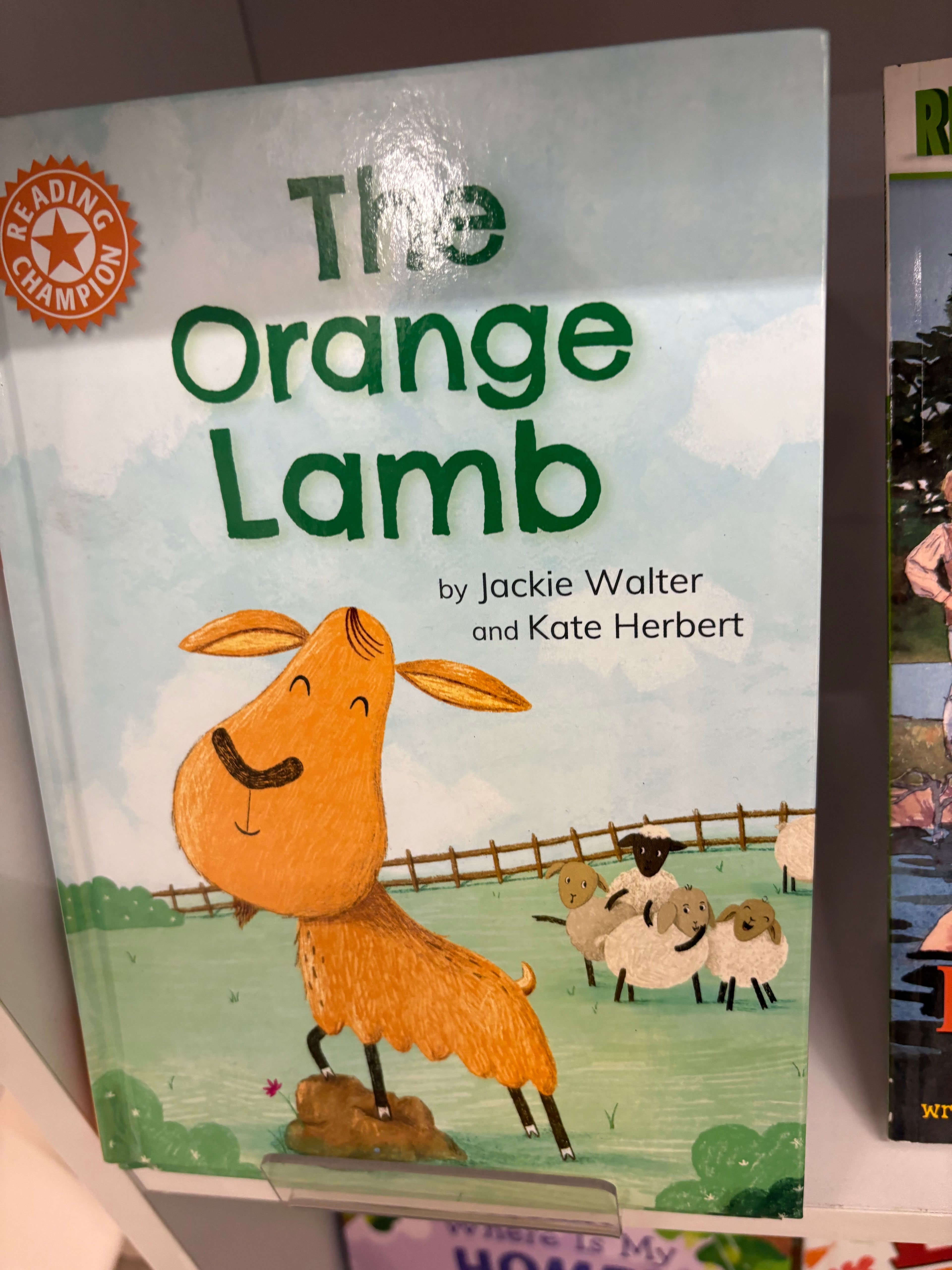 Orange Lamb