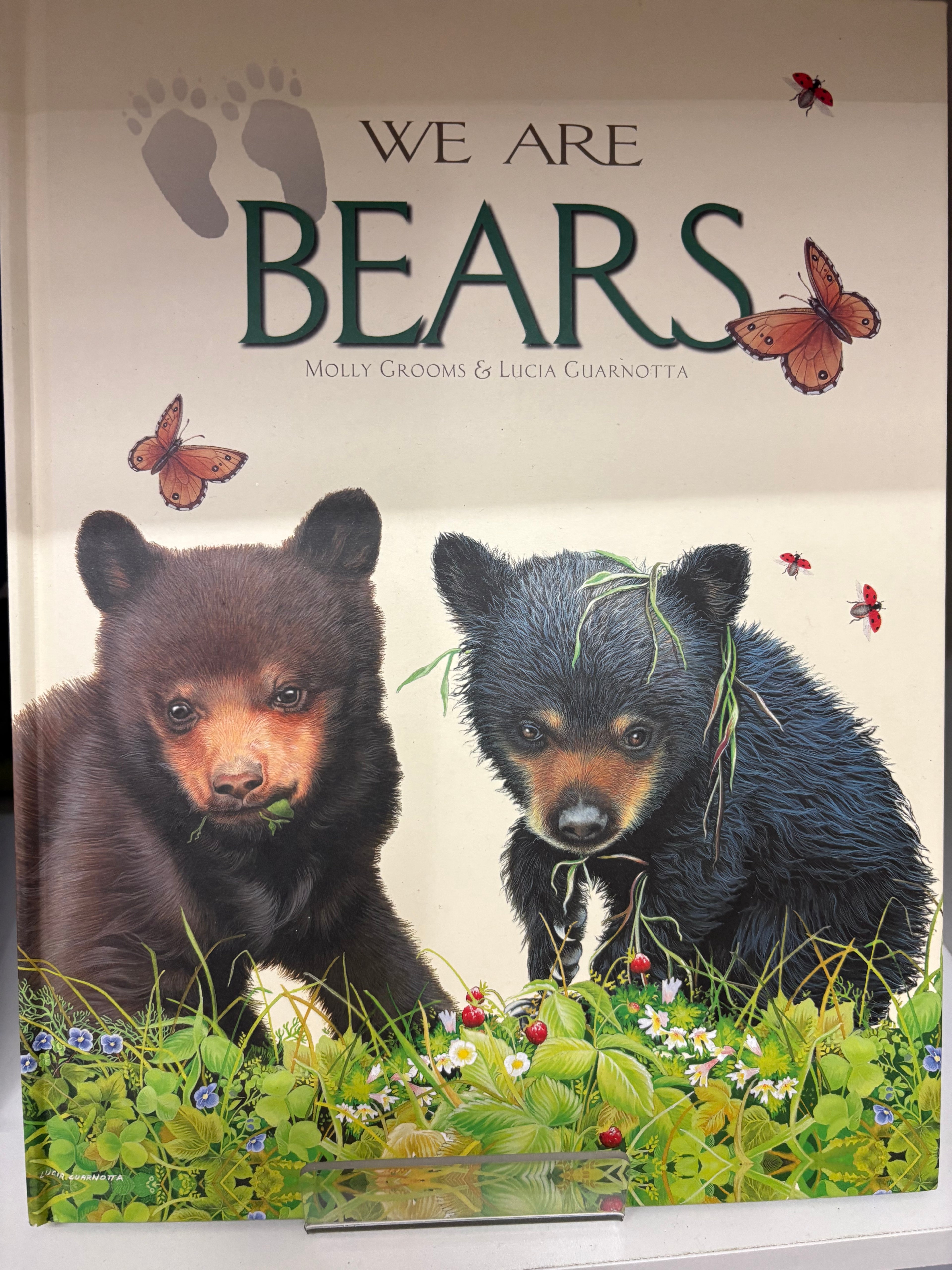 Bears